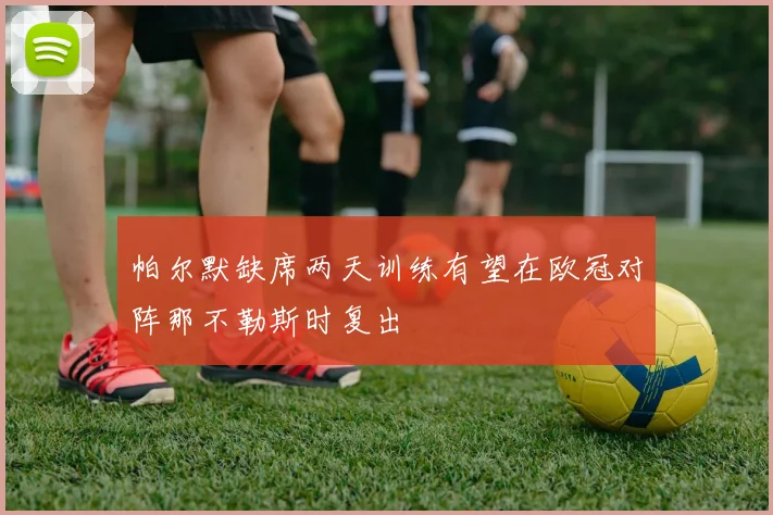 帕尔默缺席两天训练有望在欧冠对阵那不勒斯时复出